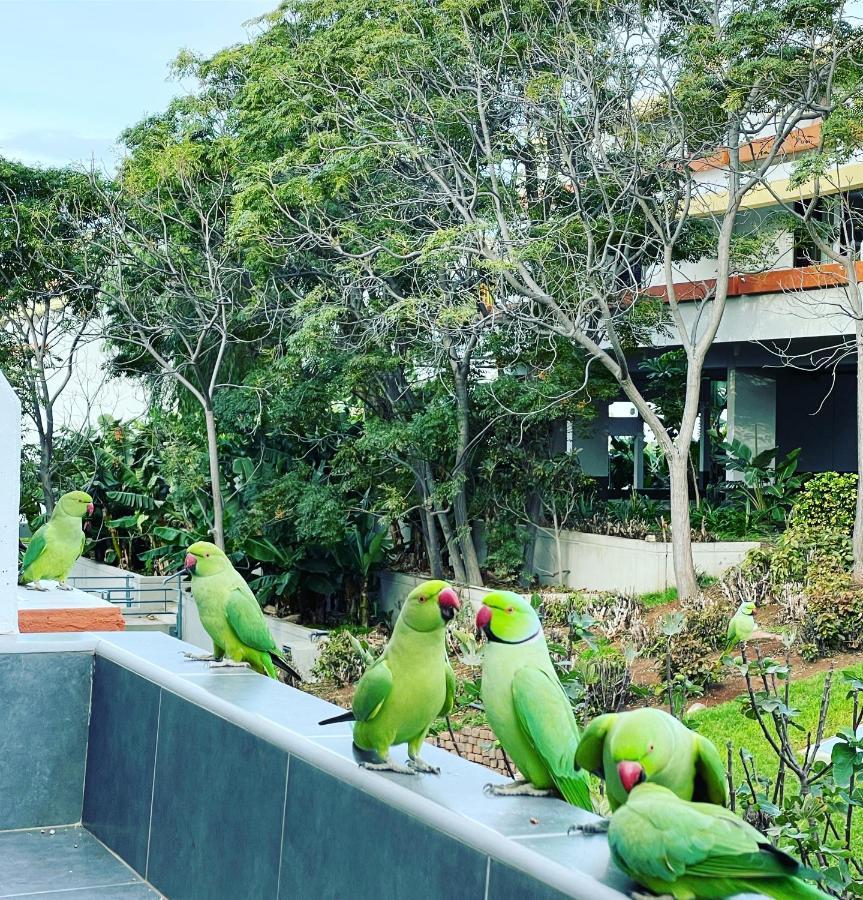 Good Vibes Apartment Costa Del Silencio Exterior photo